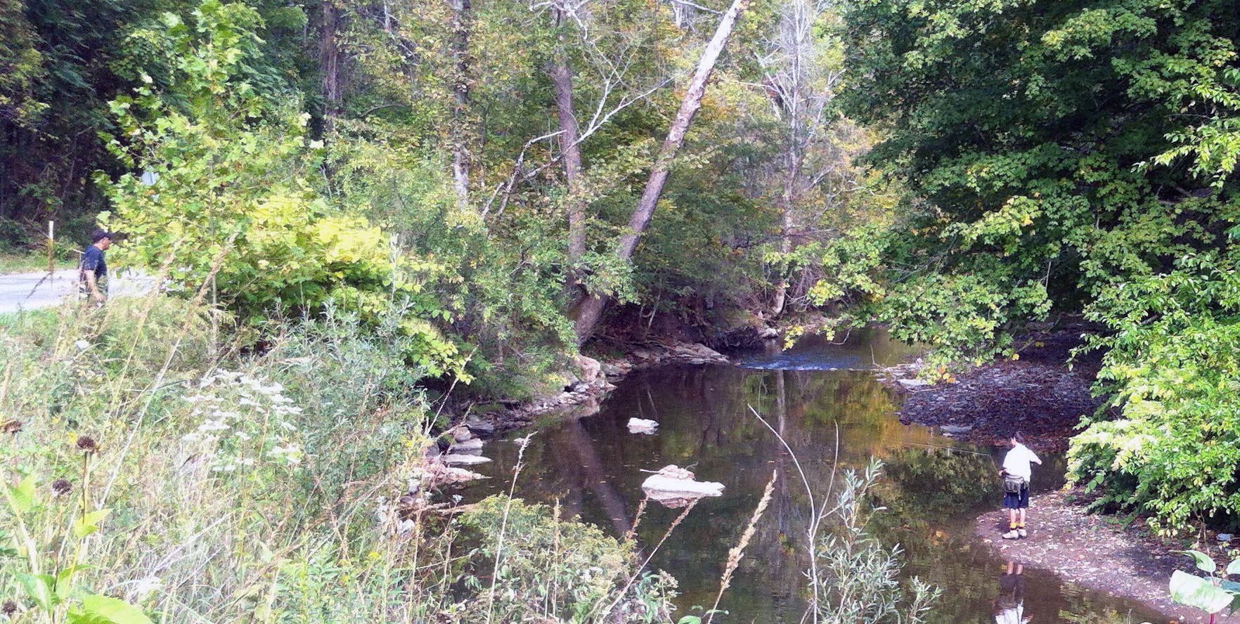 Along the Creek Pic 6