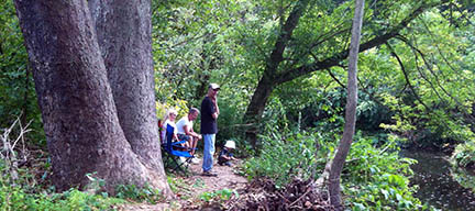 Along the Creek Pic 4