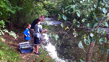 Along the Creek Pic 8