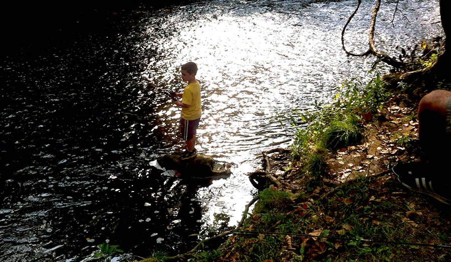 Along the Creek Pic 13