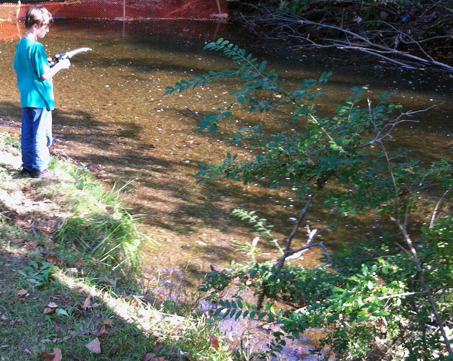 Along the Creek Pic 16